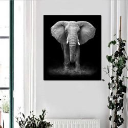 Toile éléphant noir et blanc