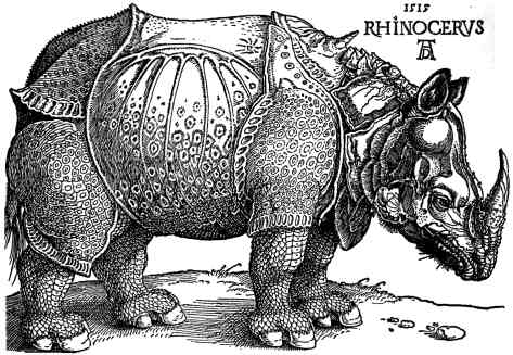 peinture rhinocéros art