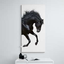 tableau cheval contemporain moderne