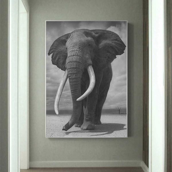 Tableau déco éléphant d'Afrique