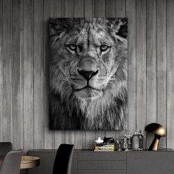 Tableau lion lionne noir et blanc