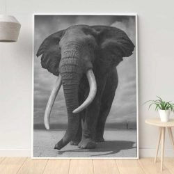 Tableau éléphant d'Afrique