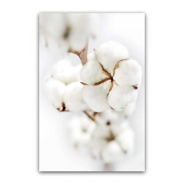 Toile fleur de coton