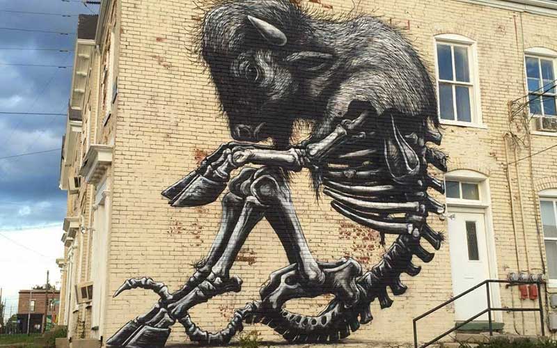 Buffalo Roa street art