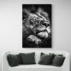 tableau lion qui dors canape blanc