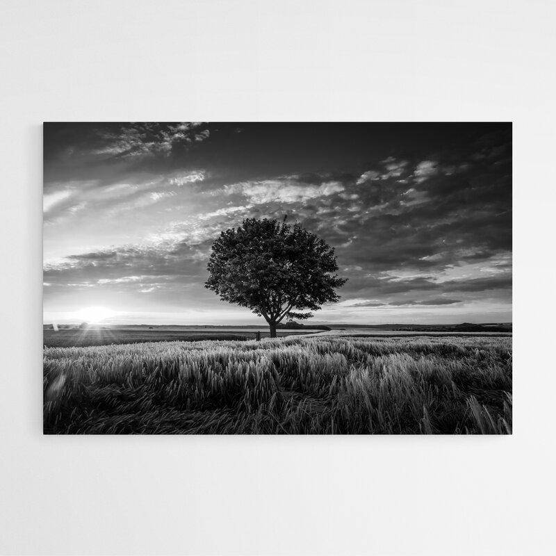 https://www.tableauxdumonde.com/wp-content/uploads/2022/07/Tableau-deco-arbre-noir-et-blanc.jpg