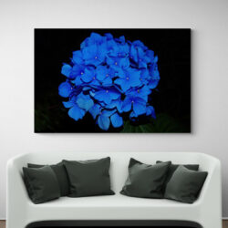 tableau hortensia bleu