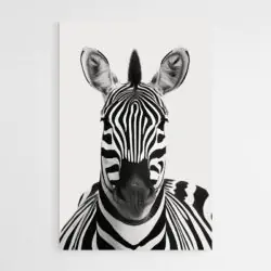 Tableau zebre de face