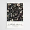 Affiche William Morris Vipere 1 1.webp