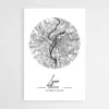 affiche carte lyon 1.webp