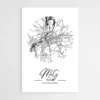 affiche carte metz 1.webp