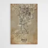 affiche carte vintage bali indonesia 1.webp