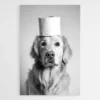 tableau chien drole 1 1.webp