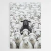 tableau moutons 1 1.webp