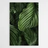 Tableau Feuille Verte 1.webp