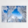 Tableau Foret et Neige 1.webp