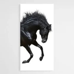 Tableau cheval Contemporain 1.webp