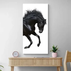 Tableau cheval Contemporain portrait 1 2 3.webp