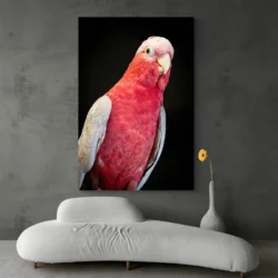 Tableau perroquet rose portrait 2 3 2.webp