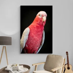 Tableau perroquet rose portrait 2 3 3.webp