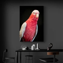Tableau perroquet rose portrait 2 3 4.webp