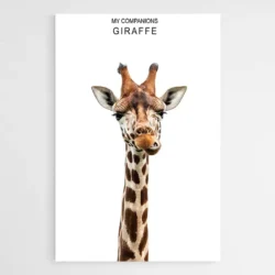 affiche girafe 1.webp