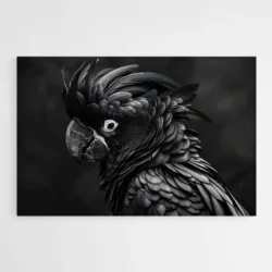 grand tableau perroquet noir 1.webp