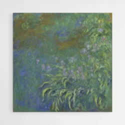 iris monet 1.webp