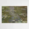 les nenuphars monet 1.webp