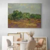 oliviers van gogh paysage 4 3 4.webp