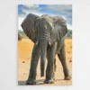 tableau bebe elephant 1.webp