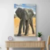 tableau bebe elephant portrait 2 3 2.webp