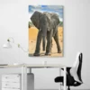 tableau bebe elephant portrait 2 3 4.webp