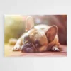 tableau bouledogue francais 1.webp