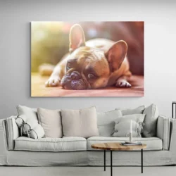 tableau bouledogue francais paysage 3 2 2.webp