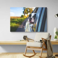 tableau bouledogue paysage 3 2 2.webp