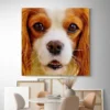 tableau cavalier king charles carre 2.webp
