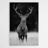 tableau cerf noir et blanc 1.webp