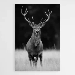 tableau cerf noir et blanc 1.webp