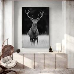 tableau cerf noir et blanc portrait 2 3 3.webp