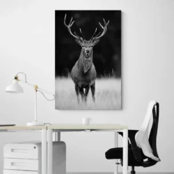 tableau cerf noir et blanc portrait 2 3 4.webp