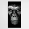 tableau cesar singe 1.webp