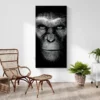 tableau cesar singe portrait 1 2 3.webp
