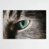 tableau chat contemporain 1.webp