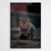 tableau chat gris 1.webp
