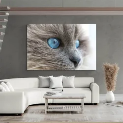 tableau chat gris yeux bleus paysage 3 2 2.webp