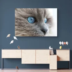 tableau chat gris yeux bleus paysage 3 2 3.webp
