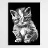 tableau chat noir et blanc 1.webp