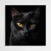 tableau chat noir yeux jaunes 1.webp