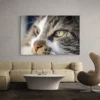tableau chat yeux verts paysage 3 2 3.webp